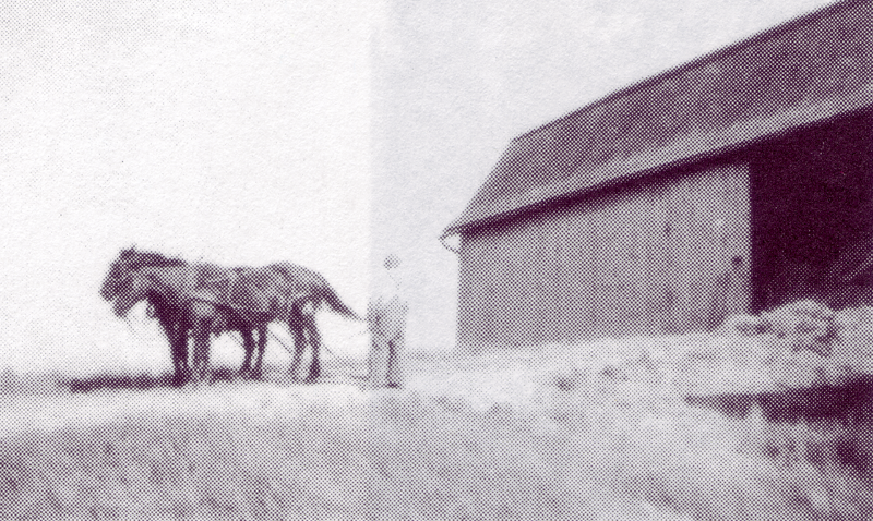 Around the Farm