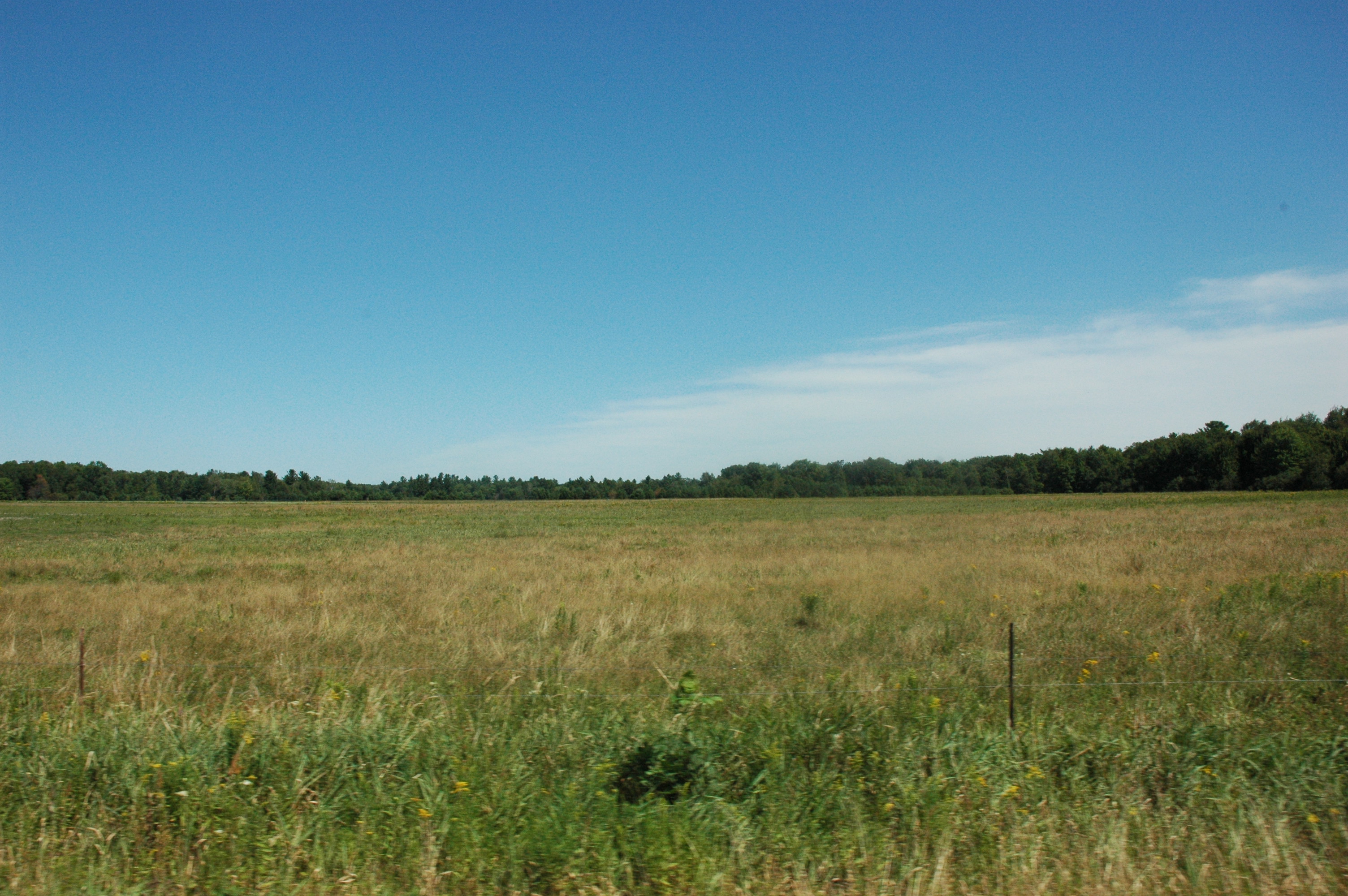 The Farmstead, August 2013