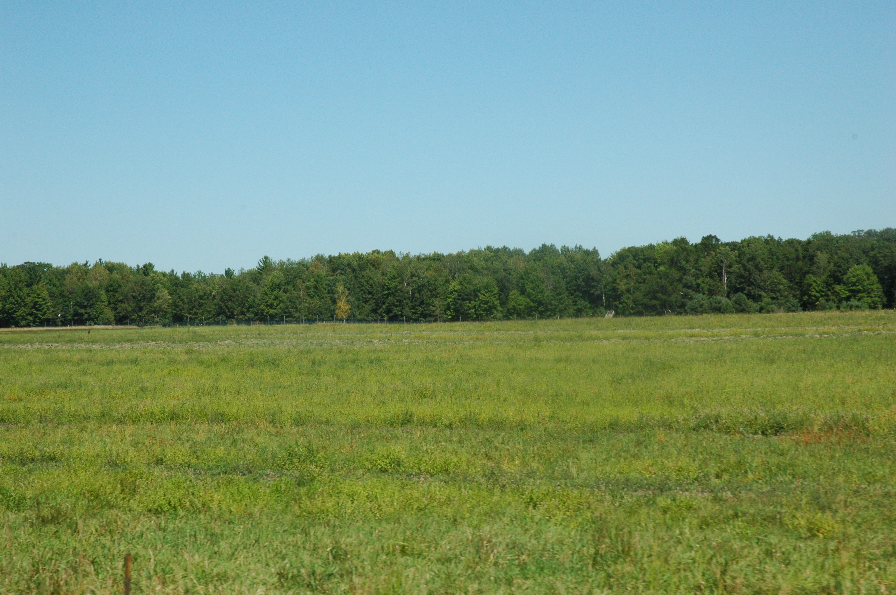 The Farmstead, August 2013