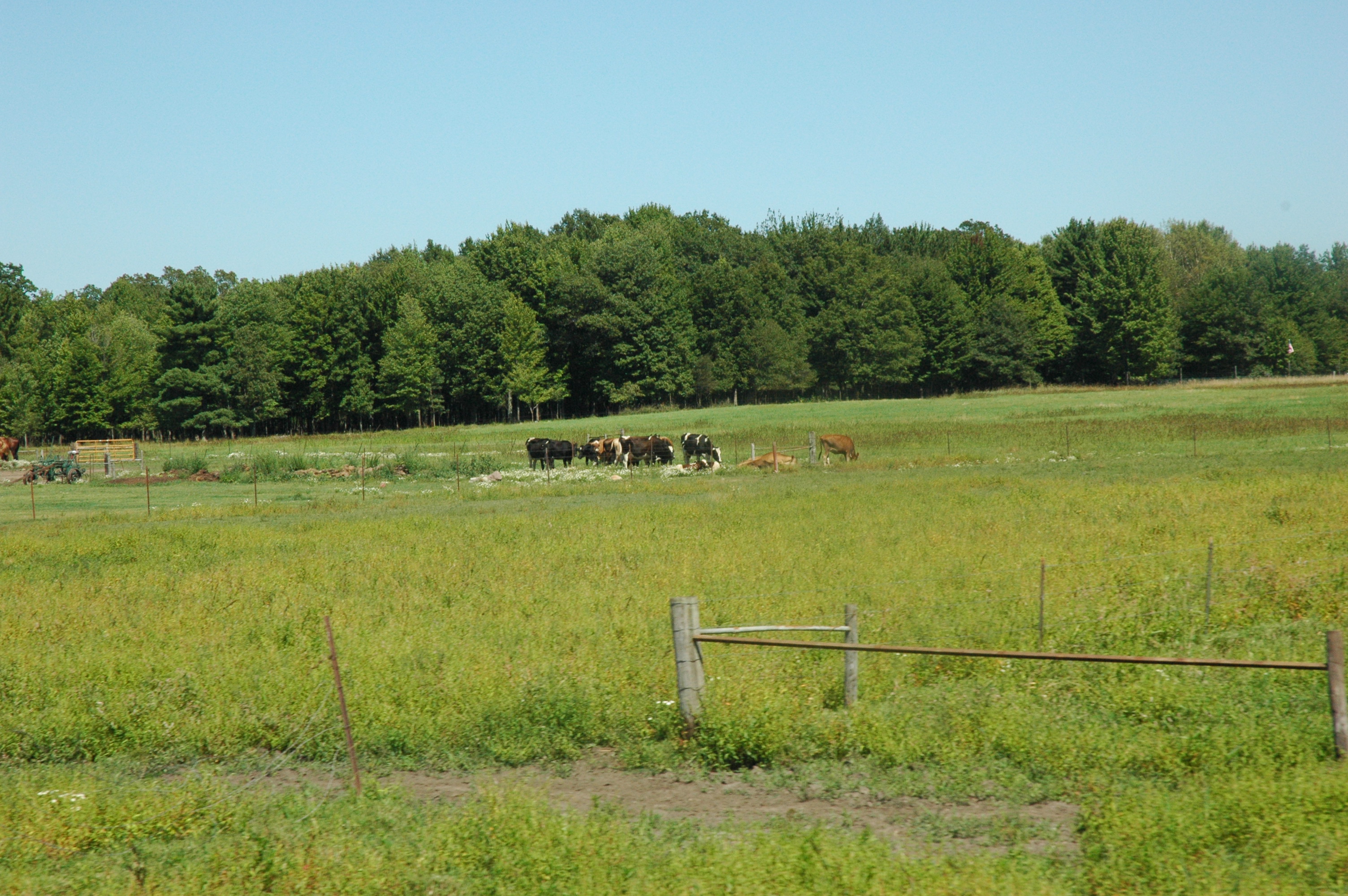 The Farmstead, August 2013