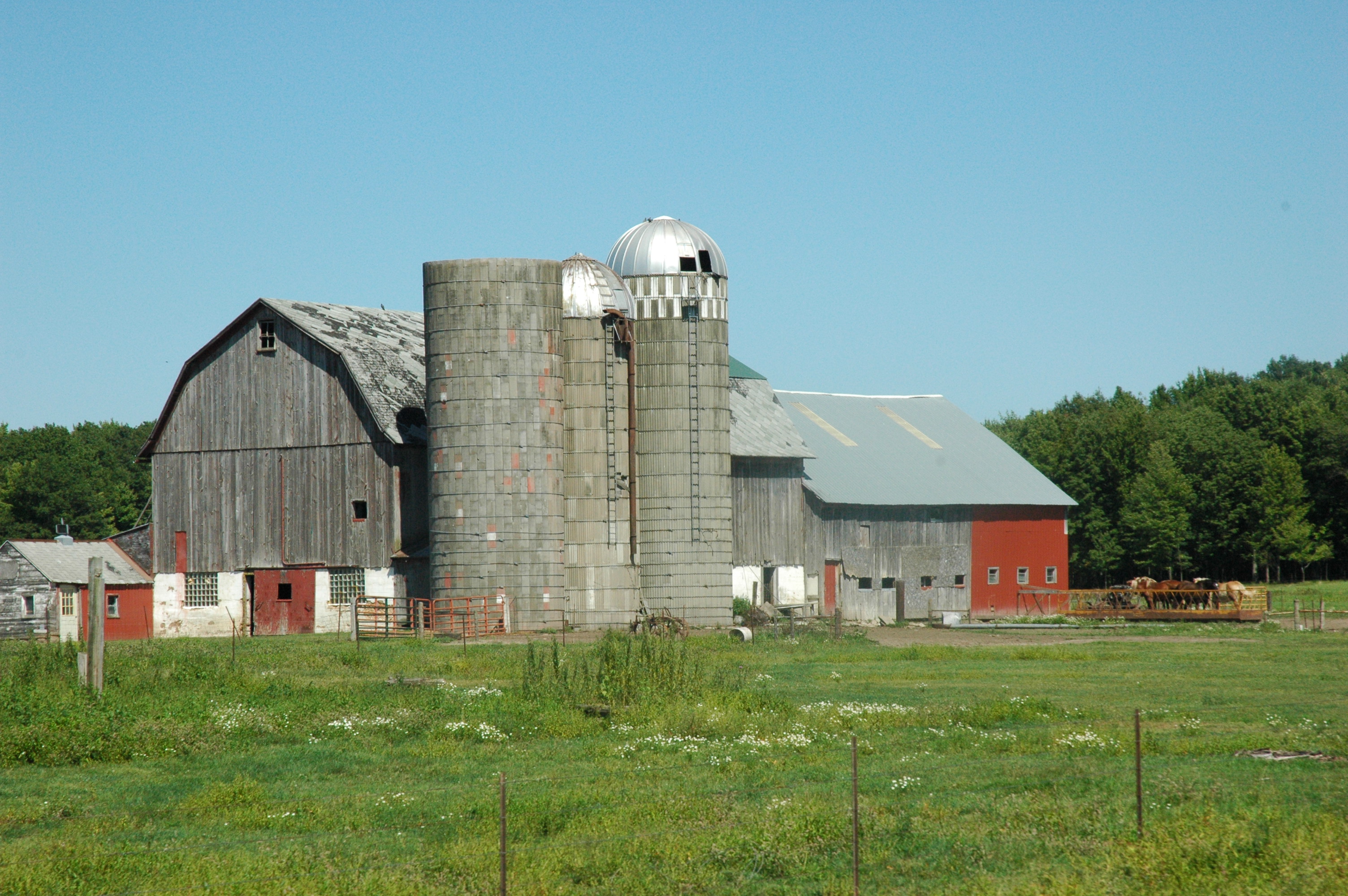The Farmstead, August 2013