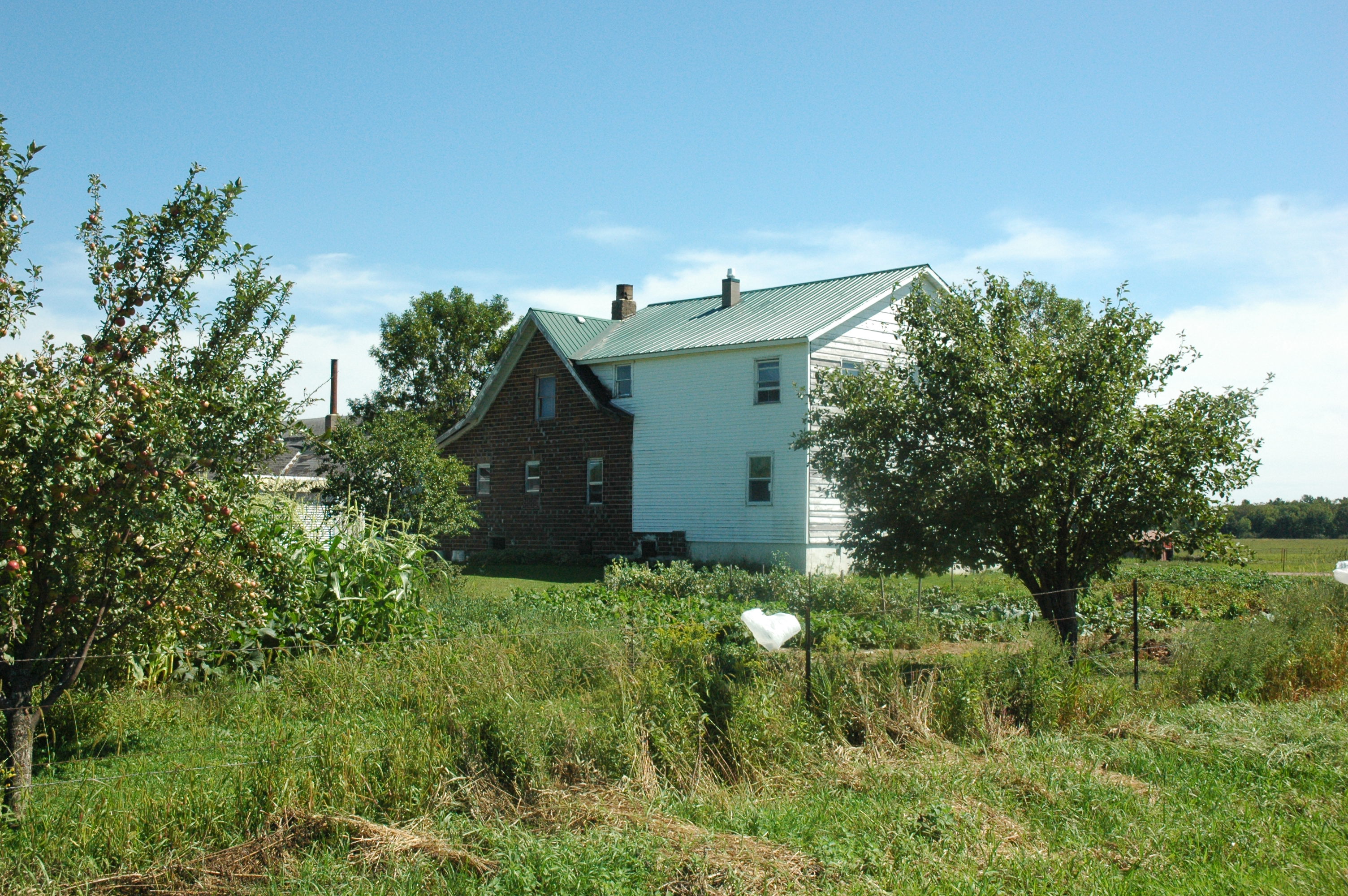 The Farmstead, August 2013
